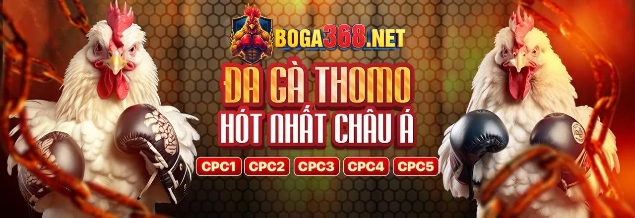 Hình ảnh minh họa các loại Cookie được sử dụng bởi xoso1234 hiện đang mở